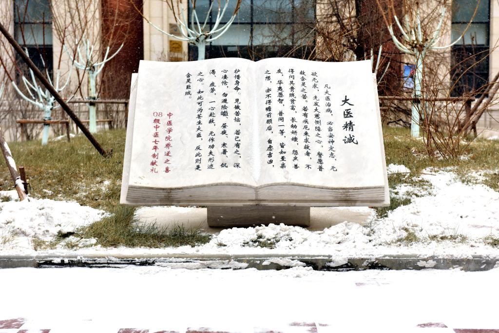 星空体育app官网入口半岛成为德甲联