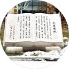 星空体育app官网入口半岛限时优惠主