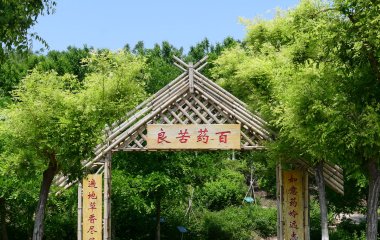 星空体育app官网入口半岛限时优惠卓